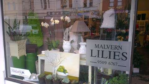 Photo: Malvern Lilies